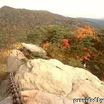 Best Western Wilderness Trail Inn 