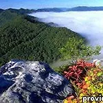 Best Western Wilderness Trail Inn 